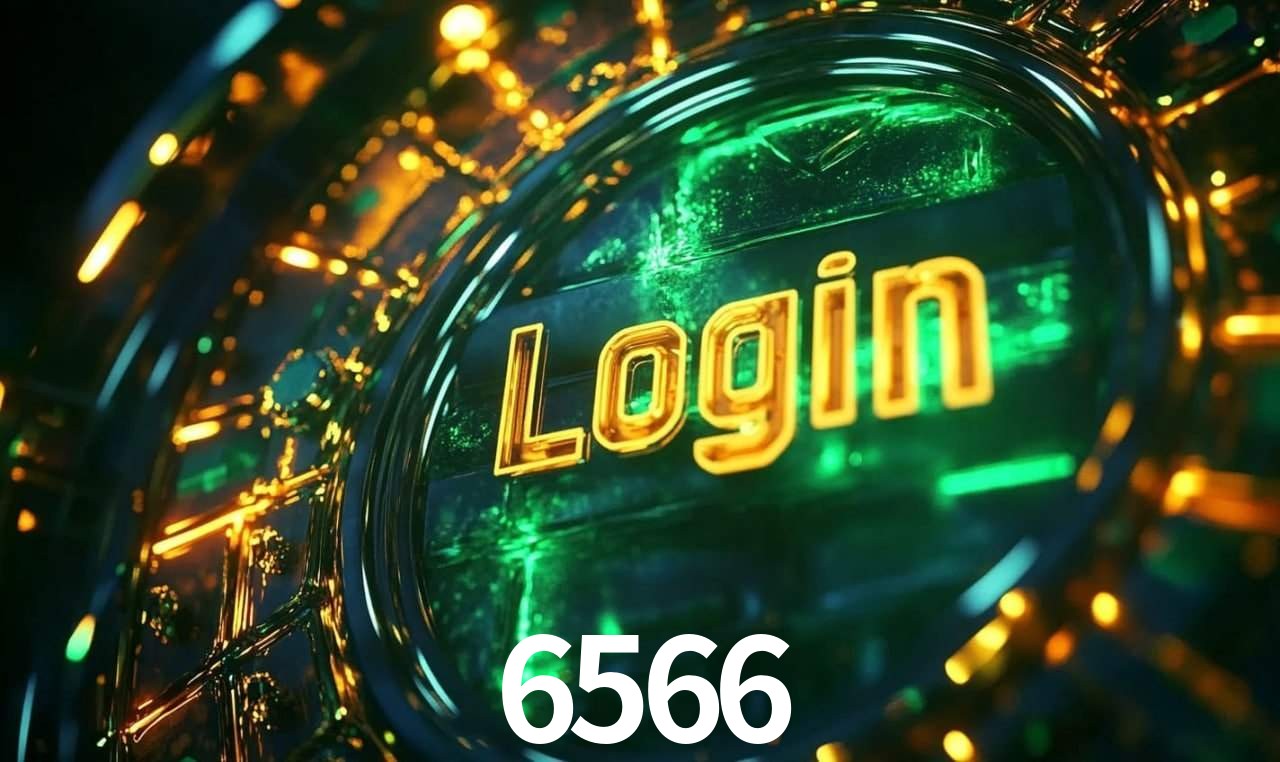 6566 - Installation Guide