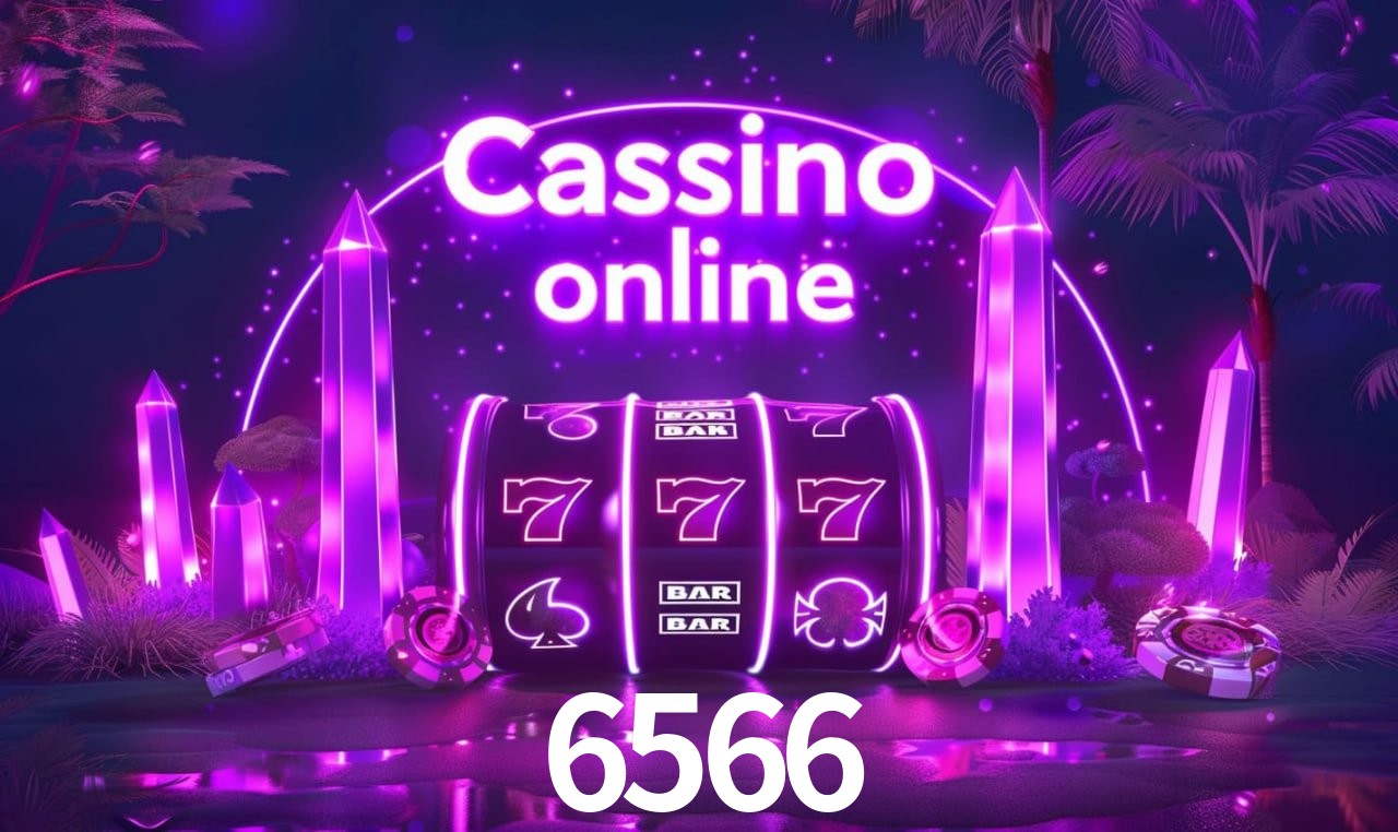 6566 - Support