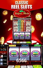 6566 São Paulo - All Bonuses